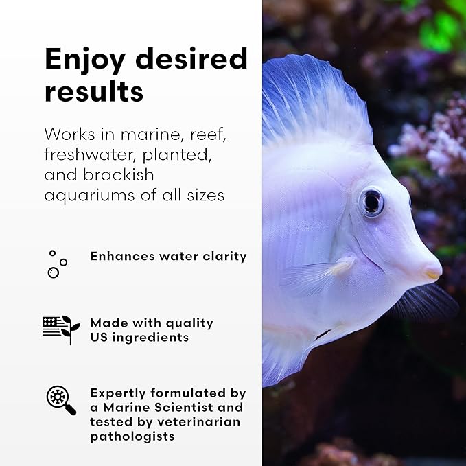 Brightwell Aquatics RedoxIclean Organic Waste Cleaner and Redox Enhancer Improves Water Clarity Filtration and Breakdown in Freshwater Marine Aquariums, 2L