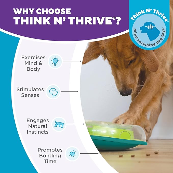 Outward Hound by Nina Ottosson Wobble Bowl Slow Feeder Dog Puzzle, Level 1 Beginner, 11.6 inches x 3.5 inches, Multicolored