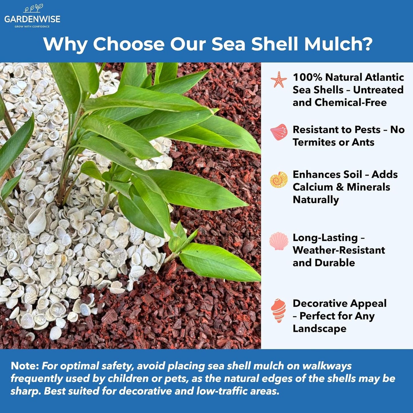 Natural Organic Sea Shell Mulch for Gardens and Landscaping – Decorative and Nutrient-Rich, 0.5–3-Inch Shells, Perfect for Indoor and Outdoor Use (0.2 CF - 4.8 L - 5 QTS)