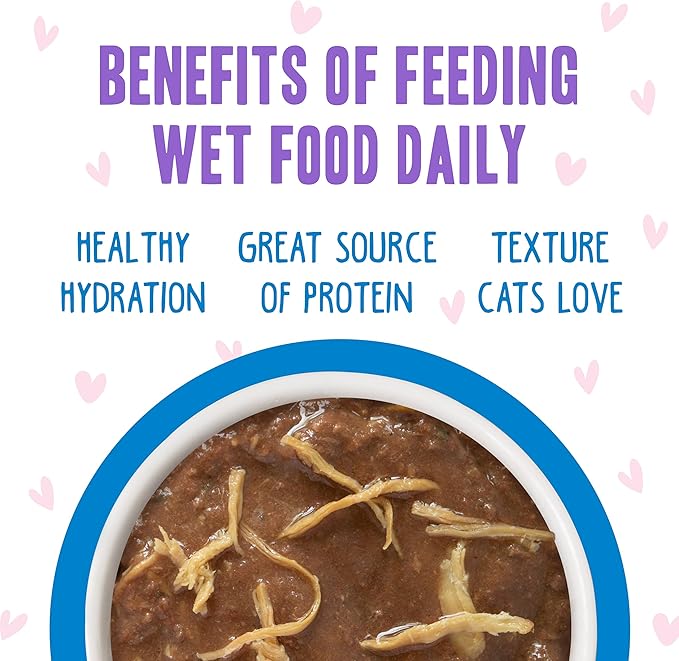 Weruva B.F.F. OMG - Best Feline Friend Oh My Gravy!, Tuna & Chicken Chase Me with Tuna & Chicken, 2.8oz Can (Pack of 12)