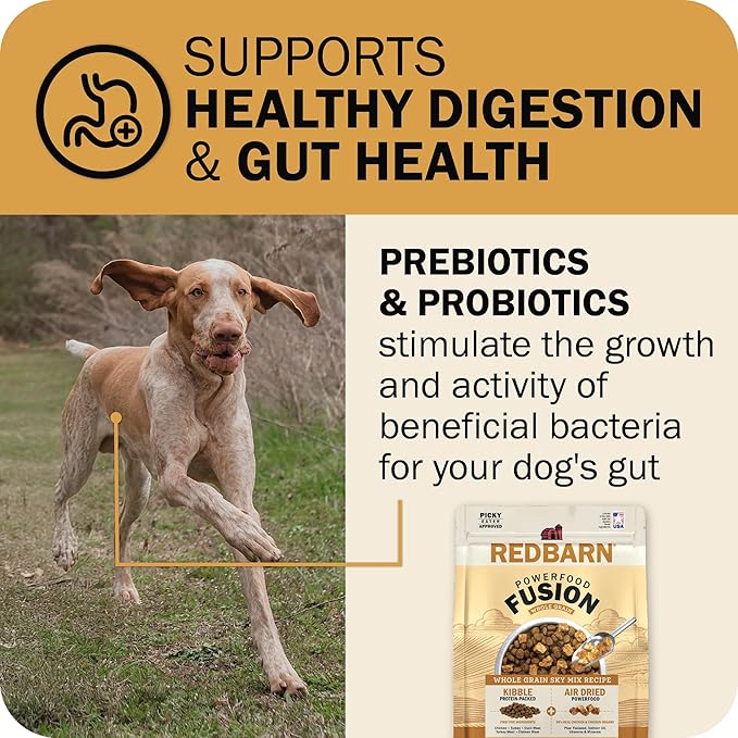 Redbarn Powerfood Fusion Air Dried Kibble Blend – Whole Grain Sky Chicken Recipe – Made in USA Dry Dog Food for All Lifestages with Superfoods, Prebiotics, Postbiotics - 3.5lb Bag
