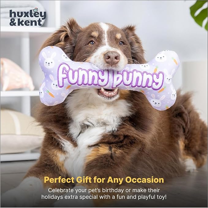 Huxley & Kent Funny Dog Toy w/Squeaker – Power Plush Squeaky Dog Toys for Small, Medium & Large Dogs – Soft Stuffed Animal for Indoor Play & Fetch - Funny Bunny Bone, Large