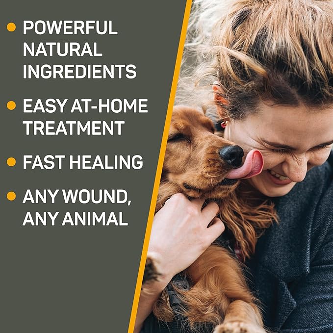 Absorbine Silver Honey Hot Spot & Wound Care Ointment for Dogs, Cats, Small Animals, 2 oz Tube Twin Pack