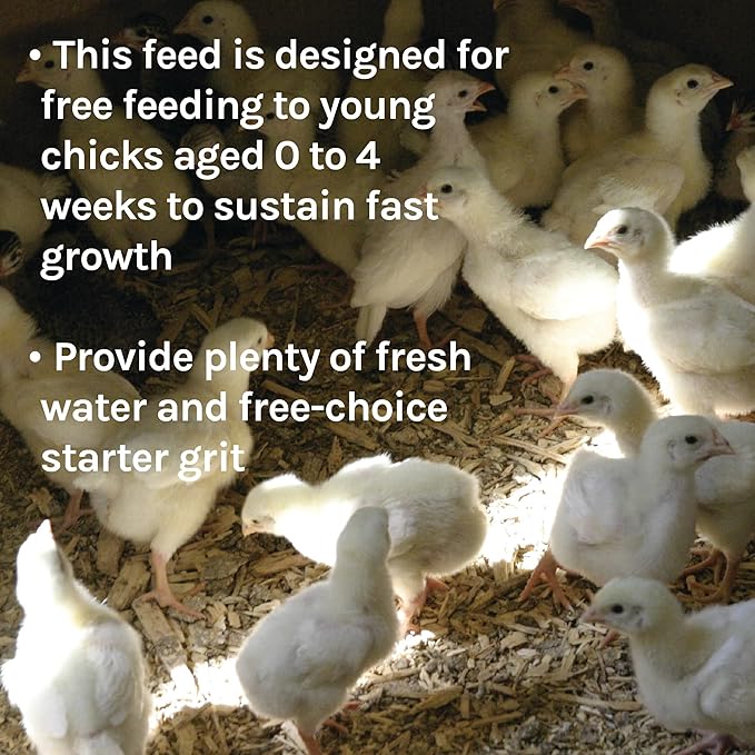 New Country Organics | Pastured Perfect Starter Feed for Baby Chicks | Corn-Free and Soy-Free | 21% Protein | Certified Organic and Non-GMO | 40 lbs