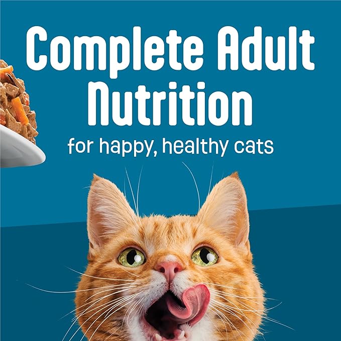Purina Friskies Fully Load’d Wet Food for Cats with Salmon, Wild Rice, Carrots and Spinach in Sauce - 5.5 Ounce (Pack of 24)