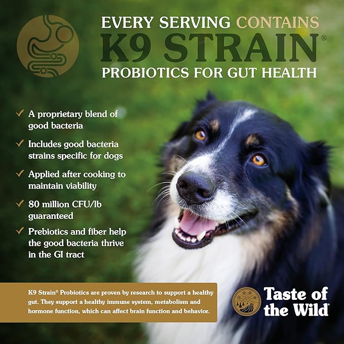 Taste of the Wild Sierra Mountain Grain-Free Canine Recipe with Roasted Lamb Dry Dog Food for All Life Stages, Made with Protein from Real Lamb and Guaranteed Nutrients And Probiotics 5lb