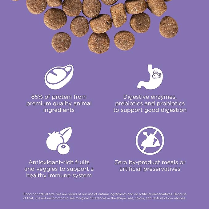 Go! Solutions Carnivore Chicken, Turkey + Duck Grain-Free Dry Senior Dog Food, Our Highest-Protein Kibble Made with Real Meat & Fish, Pumpkin & Probiotics for Good Digestion, 22 lb Bag