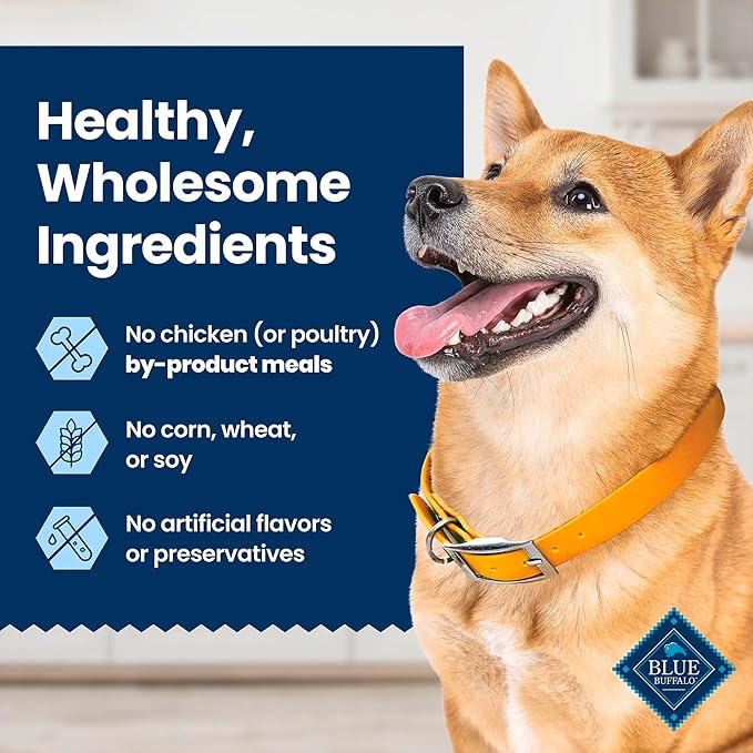 Blue Buffalo Large Dental Chews Bundle, Natural Dog Treats Enhanced with Vitamins, Minerals, and Other Nutrients, Four 22 oz. Bags
