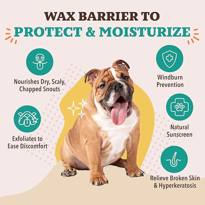 Natural Dog Company Snout Soother Dog Nose Balm 4-Pack – Moisturizing Care for Dry, Crusty, Cracked Noses with Coconut Oil & Shea Butter, Lick Safe Dog Snout Balm for All Breeds – 0.15 oz Travel Stick