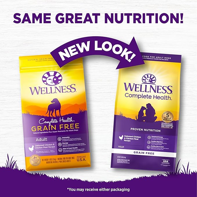 Wellness Complete Health Adult Dry Dog Food, Grain Free Kibble, Natural, Chicken Recipe, 12 lb Bag