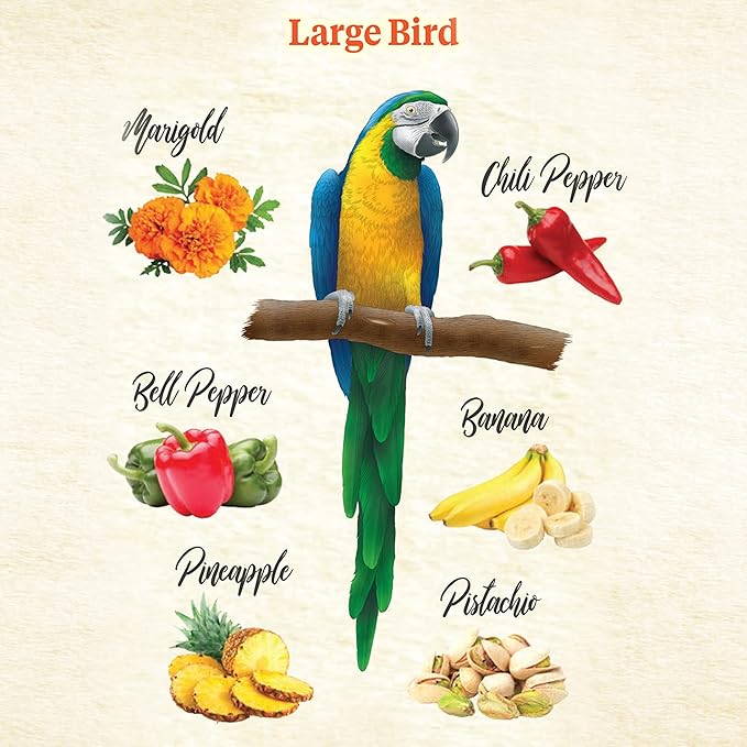 Kaytee Food from The Wild Natural Pet Bird Snack Food Treats for Conures, Pionus, Amazon Parrots, African Greys, Eclectus, Macaws, and Cockatoos, 3 oz. (Pack of 2)