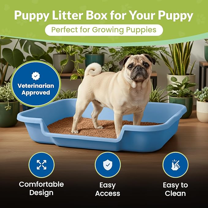 Dog Litter Box, Blue Color, Large Size, Durable & Pet Safe Puppy Litter Box, Indoor Open Top Entry Dog Litter Pan, Comfortable for Dogs, Great for Dogs up to 20 lbs