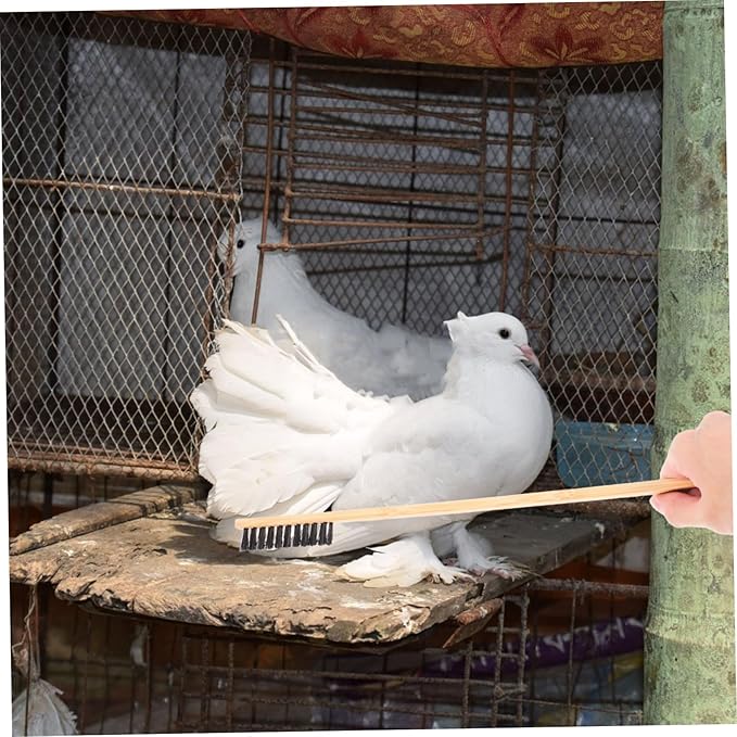 Reptile Cage Cleaner Small Animal Brush Chicken Coop Cleaning Tools Birdcage Cleaning Brush Set