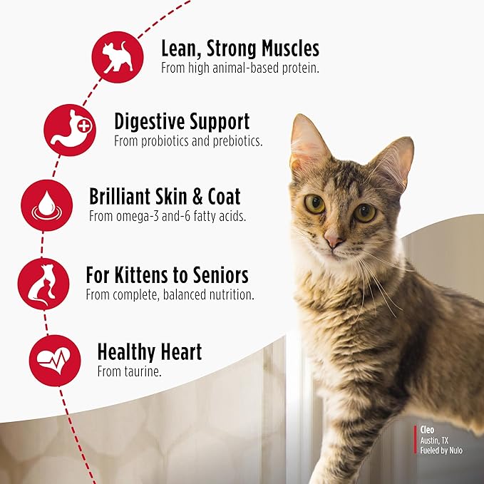 Nulo Freestyle Cat & Kitten Dry Food - Chicken & Cod Recipe, High Protein Grain Free Cat Food, Natural Kibble with Probiotics & Omega Fatty Acids, 14lb Bag