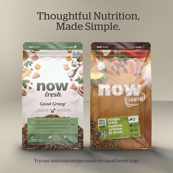 Now Fresh Grain-Free Small Breed Dry Puppy Food with Turkey, Salmon & Duck, Healthy Kibble for Growing Dogs with Real Poultry & Fish, Chicken-Free, Pumpkin & Probiotics for Good Digestion, 3.5 lb Bag