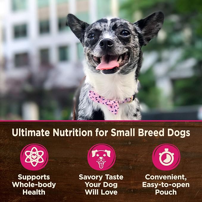 Wellness CORE Small Breed Mini Meals Chunky in Gravy Adult Wet Dog Food, Grain Free, Natural, Chicken and Tuna Dinner Recipe, 3 oz, Pack of 12 Pouches