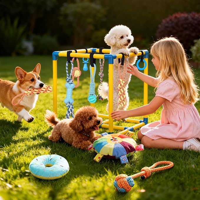 WLLEYAY Puppy Play Gym for Small Dogs with 10 Hanging Toys, Removable Indoor Jungle Gym, PVC Frame with Adjustable Bungee Straps, Interactive Dog Toys Tug Toys for Dogs Rope Toy to Keep Them Busy