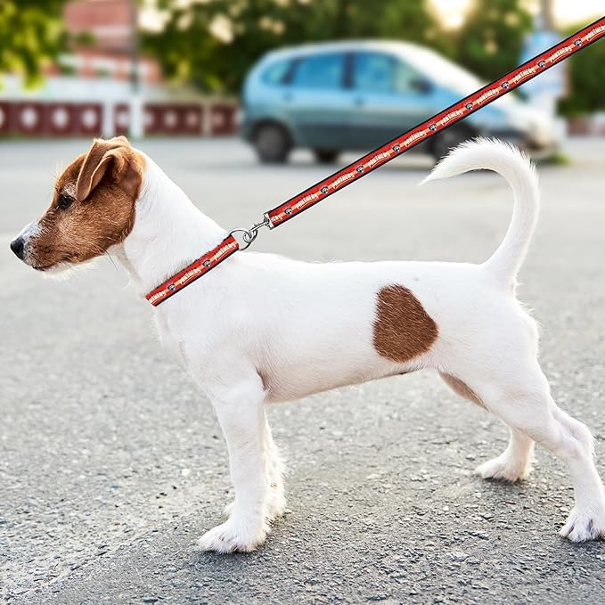 Pets First NHL Florida Panthers Leash for Dogs & Cats, Walk Cute & Stylish! The Ultimate Hockey Fan Leash!, Large (6 ft Long x 1 in Width) (PAN-3031-LG)