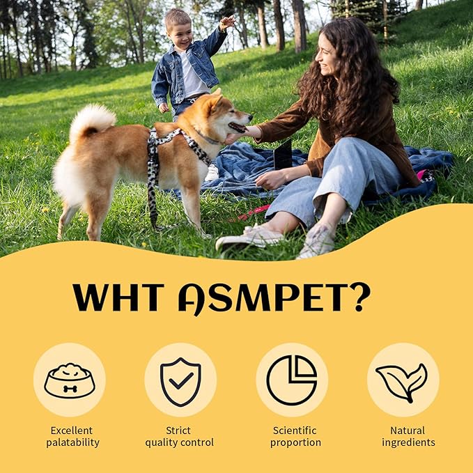 Dog Treats, Chicken Chips Grain Free Chewy Dog Snacks for Training Rewards