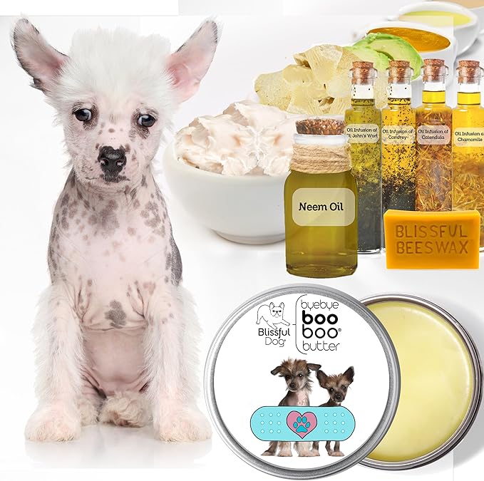 The Blissful Dog BB-CRESTED-16OZ Chinese Crested Boo Butter, 16 oz.
