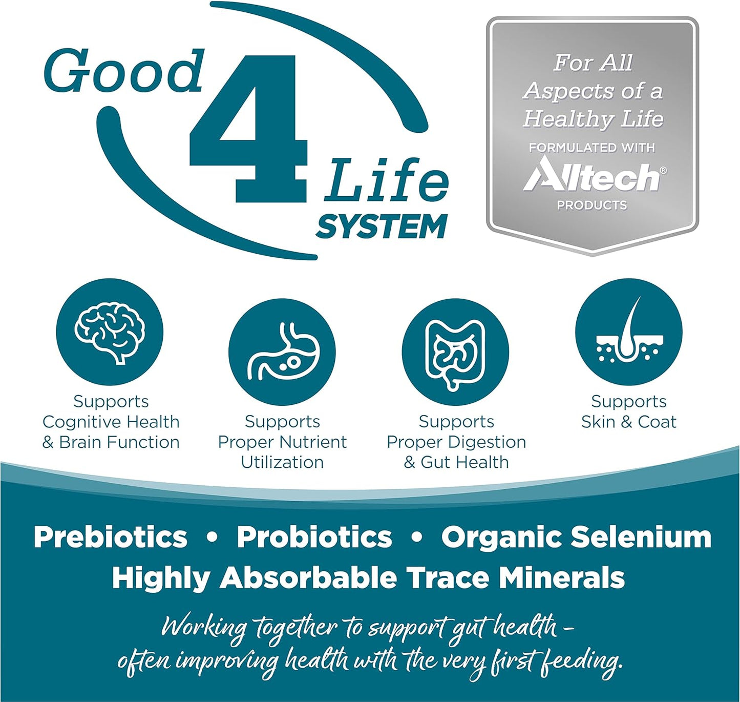 NutriSource Adult Dry Dog Food, Chicken and Rice, 4LB