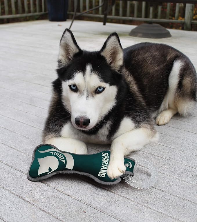 Pets First NCAA Notre Dame Fighting Irish Dental Dog TUG Toy with Squeaker. Tough PET Toy for Healthy Fun, Teething & Cleaning Pets Teeth & Gum