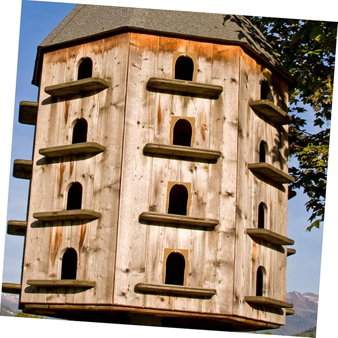 Happyyami 2pcs Plastic Pigeon Install Birdcage Door for Pigeon Racing European Style Cage Part