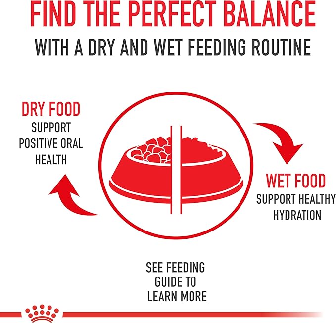 ROYAL CANIN Veterinary Diet Feline Hydrolyzed Protein Treats Adult Dry Cat Food, 7.7 oz. Bag (Pack of 2)