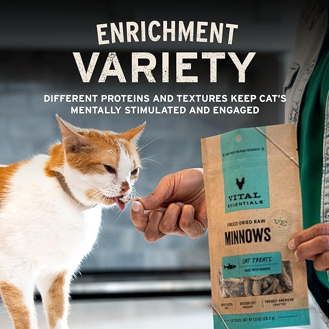 Vital Essentials Freeze Dried Minnows Cat Treats | Single Ingredient | Premium Quality | Grain Free, Healthy Treats for Cats, 1.5 oz Bag