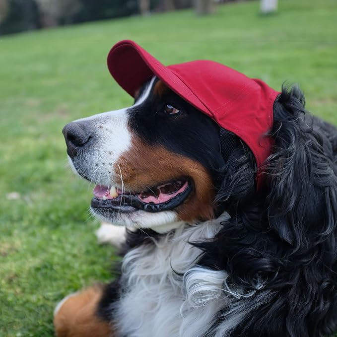 Littlearth NFL San Francisco 49ers Pet Baseball Hat, Team Color, X-Small