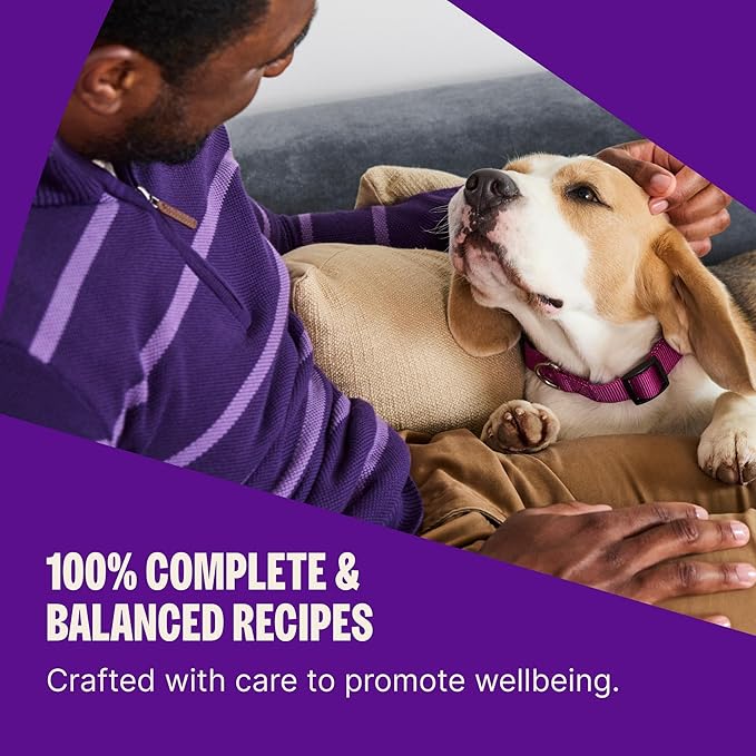 Wellness Complete Health Healthy Weight Small Breed Adult Dry Dog Food, Wholesome Grain Kibble, Natural, Turkey and Brown Rice Recipe, 4 lb Bag