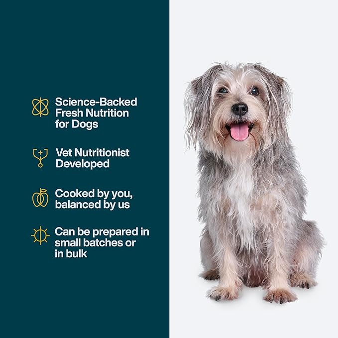 Just Food for Dogs Nutrient Blend, Vitamins and Supplements for Homemade Dog Food, Beef and Russet Potato, DIY Fresh Pet Meals and Toppers, Human Grade, Dog Vitamins & Multivitamin Additive, 4.55oz
