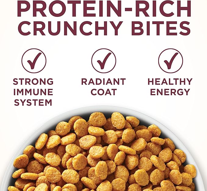 Purina ONE High Protein Dry Cat Food, +Plus Urinary Tract Health Formula - 16 lb. Bag