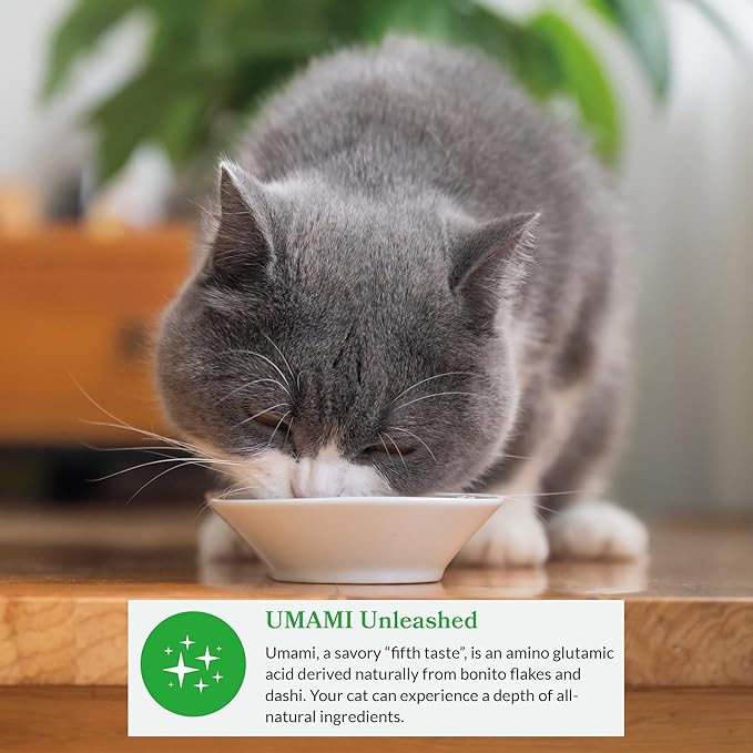 INABA Dashi Delights for Cats, Shredded Chicken Side Dish with Bonito Flake Broth, Cat Food Complement with Taurine & Green Tea Extract, 2.5 Ounce Cup, 6 Cups Total, Chicken with Scallop Recipe