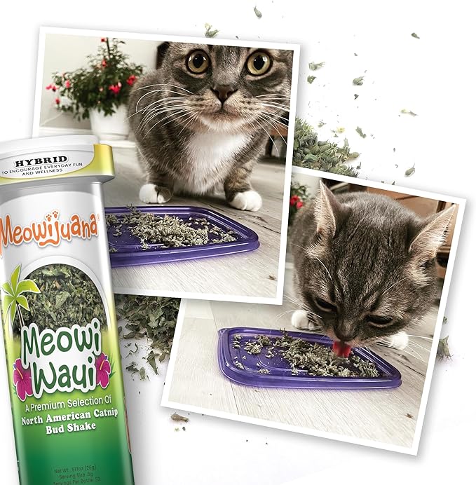 Meowijuana Meowi-Waui Bundle | King Size Catnip Rollies and Meowi-Waui | Hand Harvested and Rolled Dried High Potency Catnip | Grown in North America