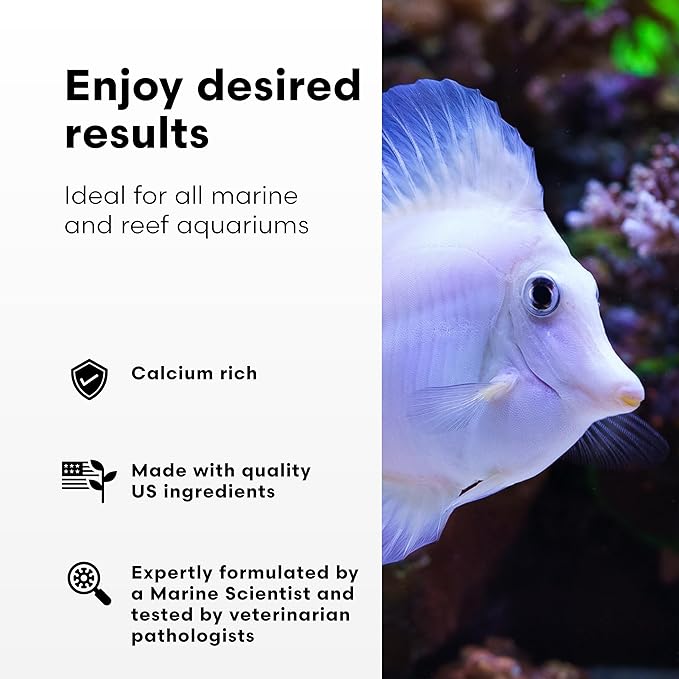 Brightwell Aquatics Calcion - Concentrated Ionic Calcium Supplement for Reef & Saltwater Aquariums Supports Coral Growth Aragonite Formation No Phosphate, 2L