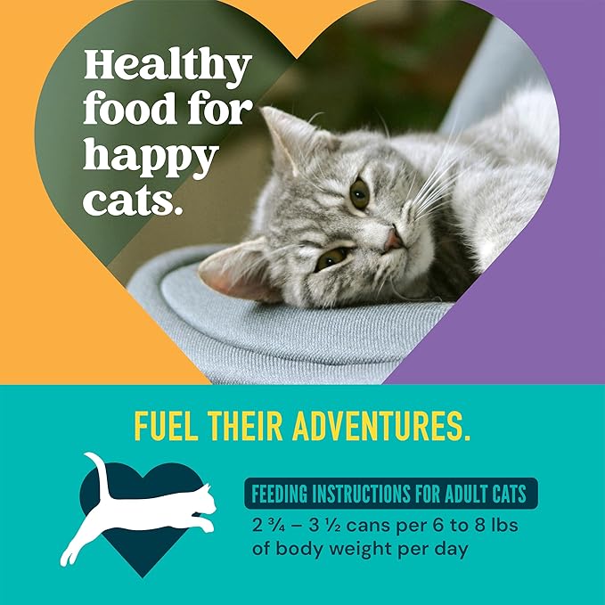 A Strong Heart Wet Cat Food, Chicken & Pumpkin Shreds in Gravy, Made with Whole Muscle Chicken, Made in the USA, 3oz Can (Pack of 24)