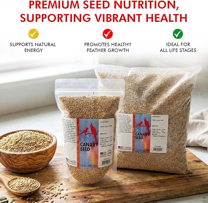 Morning Bird Canary Seed 1.5 lbs – Nutrient-Rich Bird Seed – Creamy Golden Grain Powerhouse - Supports Healthy Feathers & Strong Bones – Natural Daily Nutrition for All Bird Types