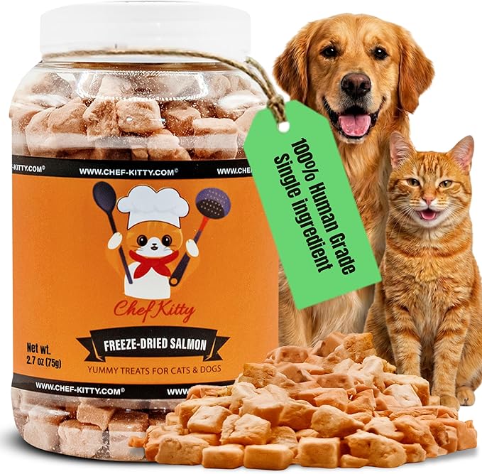 Freeze Dried Salmon Cat Treats | 100% Wild Caught Salmon Dog Treats, Grain- Free | High Protein, Single Ingredient Cat & Dog Food Toppers | No Additives or Preservatives | Tested in USA | 2.6 oz