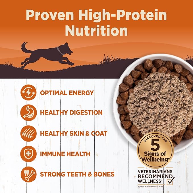 Wellness CORE 95% Adult Canned Wet Dog Food, Grain Free, Natural, Turkey with Spinach Recipe, 12.5 oz, Pack of 12 Cans