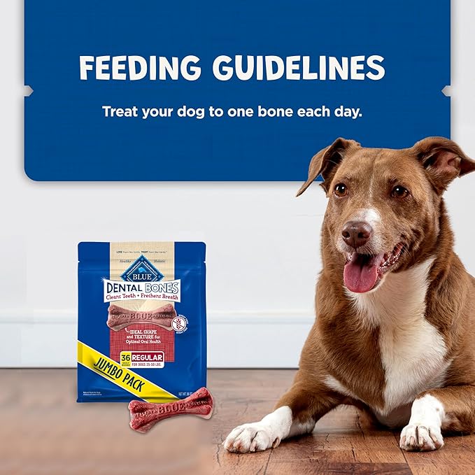 Blue Buffalo Dental Bones Regular Natural Dental Chew Dog Treats Bag Value Pack,(Pack of 2)