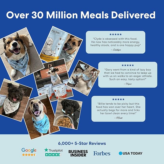 The Pets Table Air Dried Dog Food for Dogs Large, Medium and Small with Sensitive Stomachs | Puppy Dog Food, Adult Dog Food, Senior Dog Food | Lamb & Beef with Brown Rice 4.5 lbs / 72 oz Bag