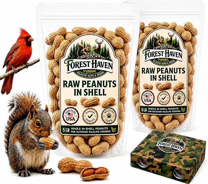 Forest Haven Premium Raw Peanuts for Squirrels – 10LB Bulk Squirrel Food – Unsalted Peanuts in Shell for Birds, Deer & Wildlife – Bonus Binoculars Included - USA Grown