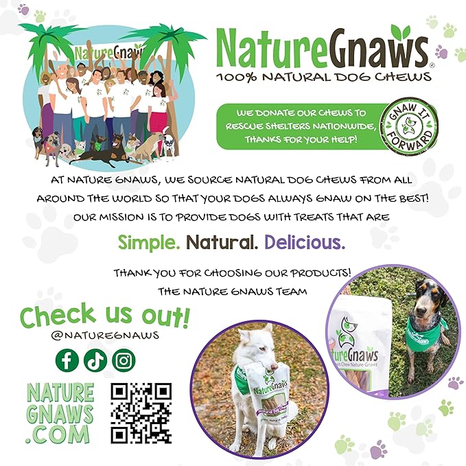Nature Gnaws Bully Sticks for Dogs 5-6" (8oz) - Mixed Thickness - Long Lasting for Aggressive Chewers and Large Dogs - Natural Beef Dog Chew Bones
