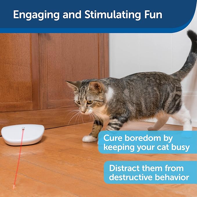 PetSafe Laser Tail Automatic Laser Light - Interactive Cat Toy - Encourages Exercise - Self-Propelling Motion Toy - Battery Operated - Safe for Cats - Hands Free Play