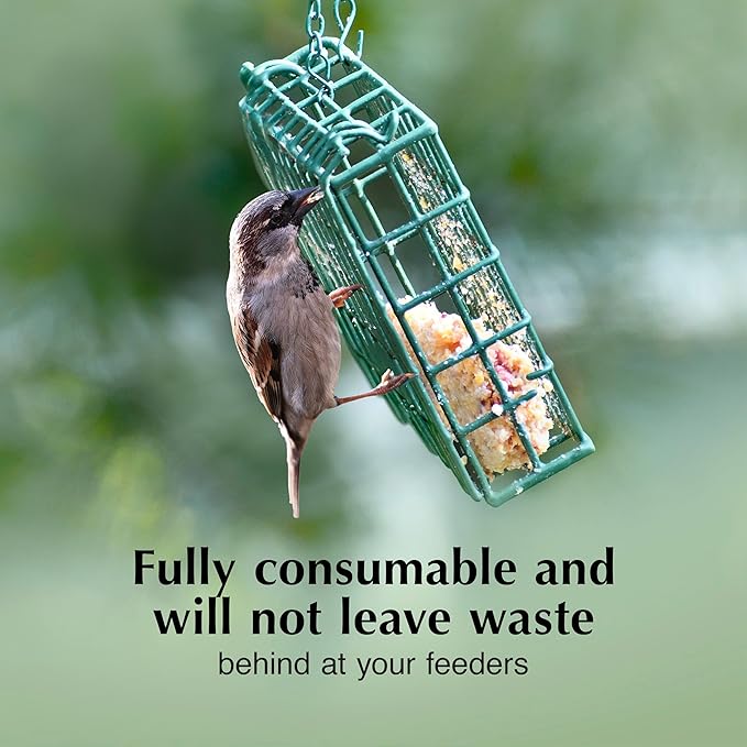 C&S Insect Delight No Melt Suet Dough, Suet Cakes for Wild Birds Including Robins, Blue Jays, Woodpeckers, Wrens, Bluebirds and More, 11.75 Ounces, Pack of 8