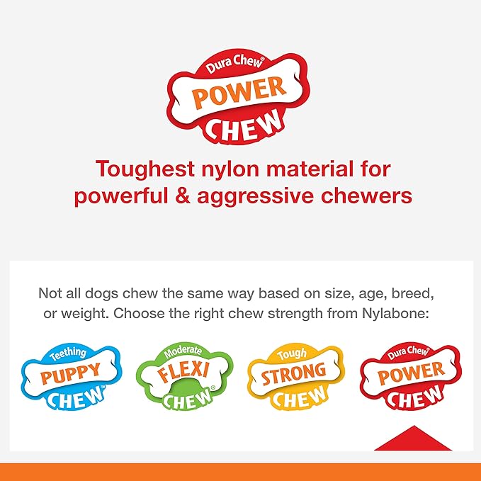 Nylabone Power Chew Basted Blast Dual Flavored Dog Chew Toys for Aggressive Chewers - Durable Dog Bones with 2 Layers of Flavor - Bacon and Steak Flavor, Small/Regular (2 Count) (Pack of 2)