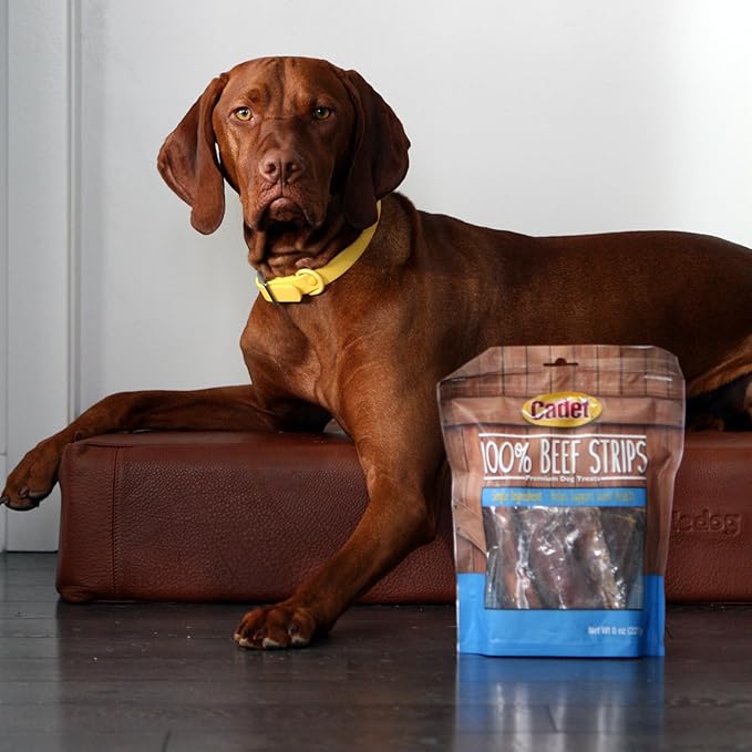 Cadet 100% Beef Strips Dog Treats, Single Ingredient Beef Esophagus Dog Jerky, Healthy High Protein Rawhide Alternative for Small & Large Dogs, 8 Ounce