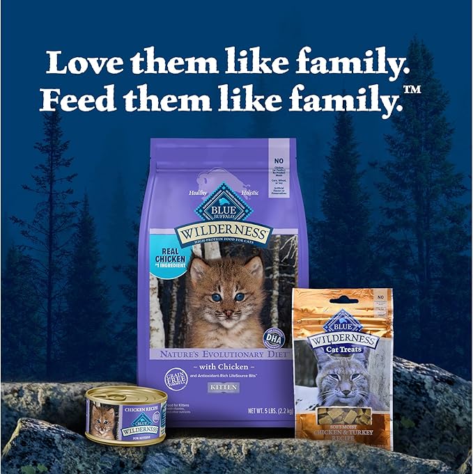Blue Buffalo Wilderness Natural Kitten Dry Cat Food, with DHA and ARA to Support Brain and Eye Development, High-Protein and Grain-Free Diet, Chicken, 2-lb Bag