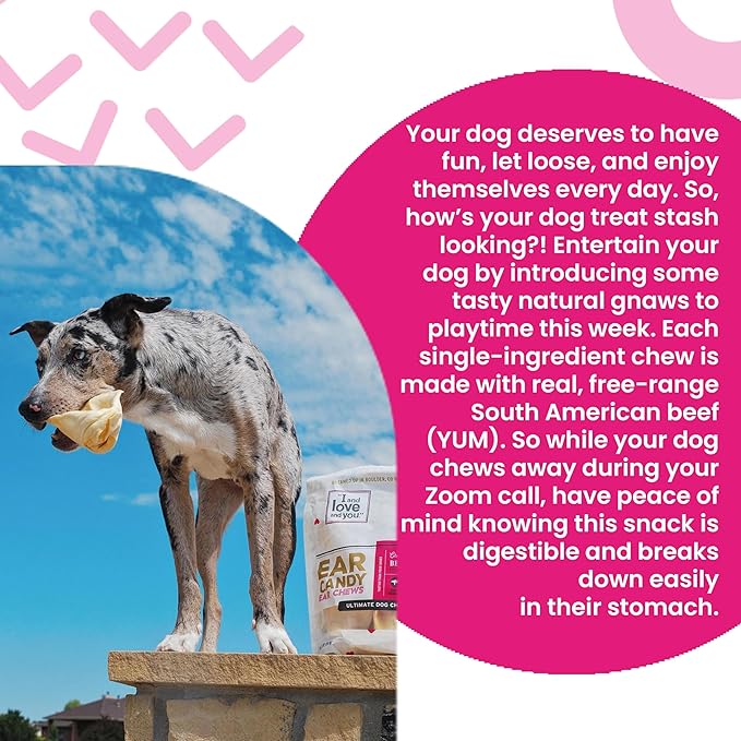 I and love and you Ear Candy Cow Ear Chews - Beef - Rawhide Alternative, Single Ingredient, Free Range Grass Fed Beef, 5ct